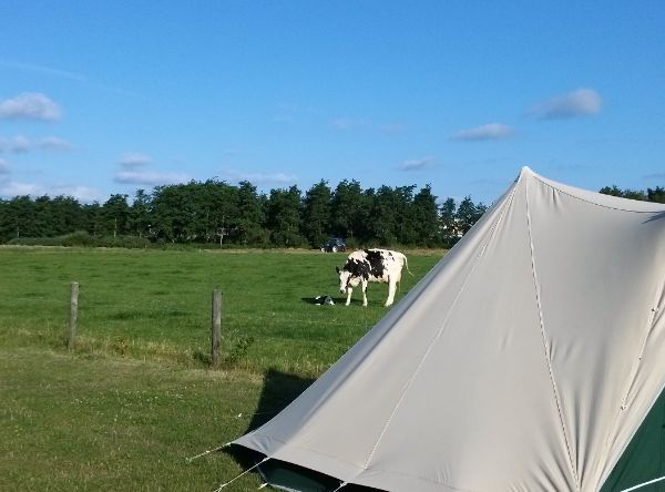 Camping Castricum