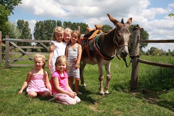 Camping Schijndel