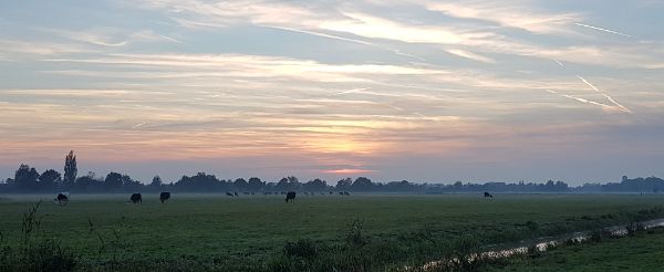 Camping Nieuwersluis