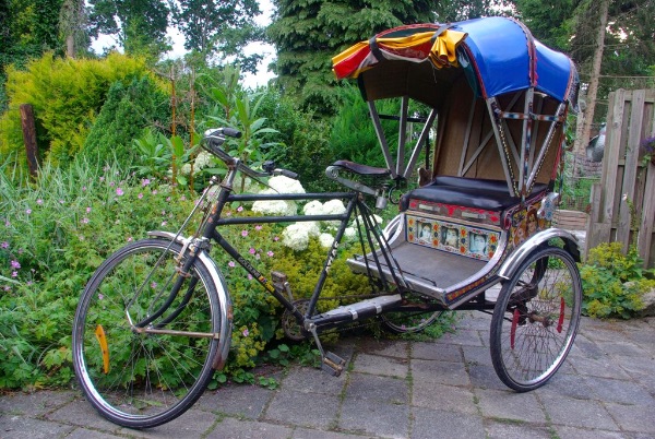 Camping Witteveen
