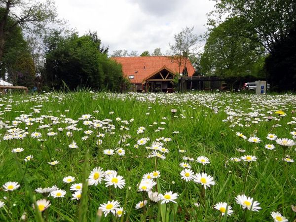 Camping Witteveen