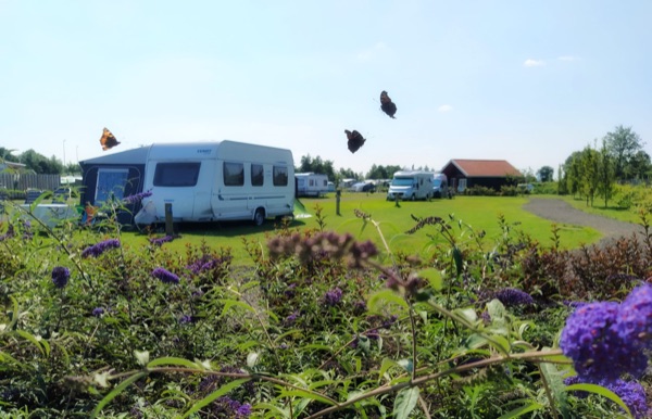 Camping De Veenhoop