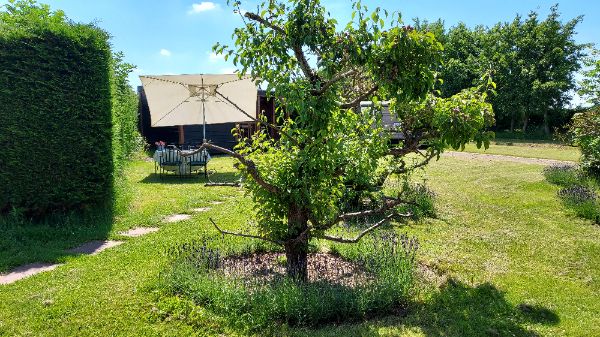 Camping Medemblik