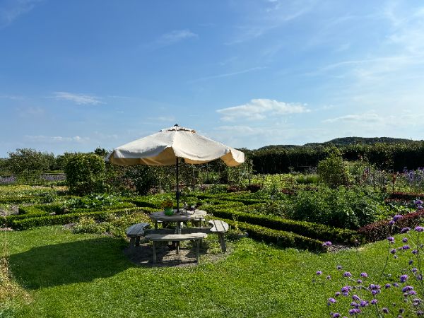 Camping Zoutelande