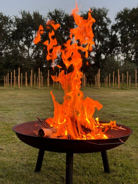 Camping Westerbeek