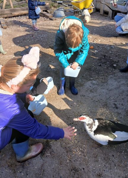 Camping Ouwerkerk
