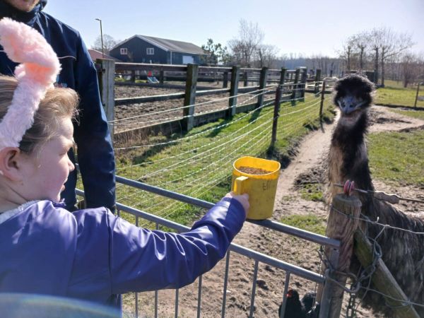 Camping Ouwerkerk