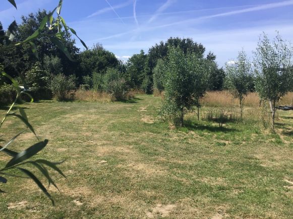 Camping Toldijk