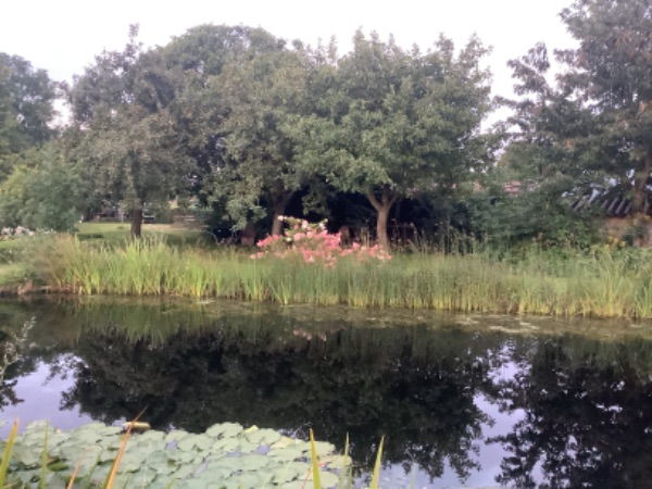 Camping Toldijk