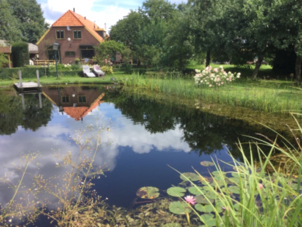 Camping Toldijk