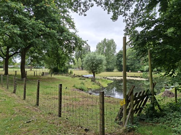 Camping Nieuwveen