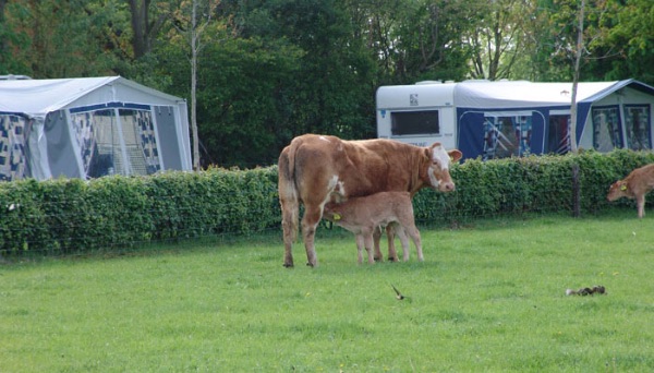 Camping Etten-Leur