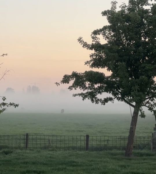 Camping Scherpenzeel