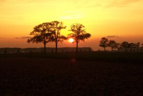 Camping Aardenburg