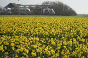 Camping Julianadorp aan Zee